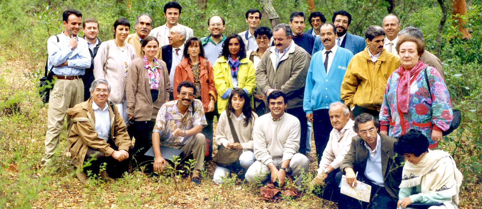 Group oak Italy 1994